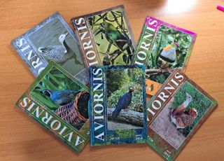 Aviornis Internacional, Año 2014