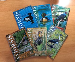 Aviornis Internacional, Año 2015