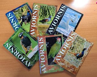 Aviornis Internacional, Año 2017