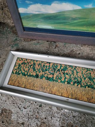 Portafoto 10 x 60. Pezzi 4