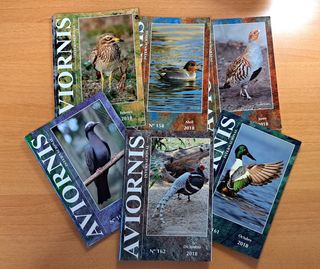 Aviornis Internacional, Año 2018