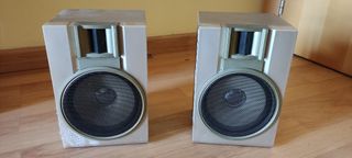 ALTAVOCES SILVER CROWN