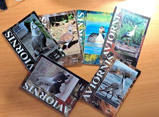 Aviornis Internacional, Año 2020