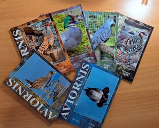 Aviornis Internacional, Año 2021