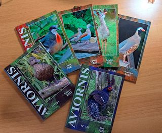 Aviornis Internacional, Año 2022