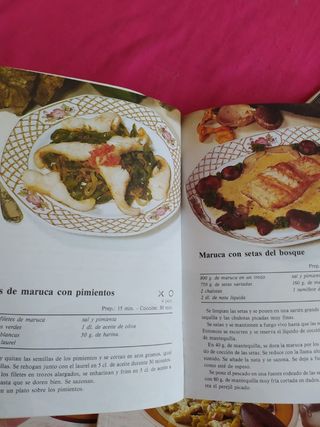COCINAR EN CASA LOTE DE 6 LIBROS DE COCINA RECETAS