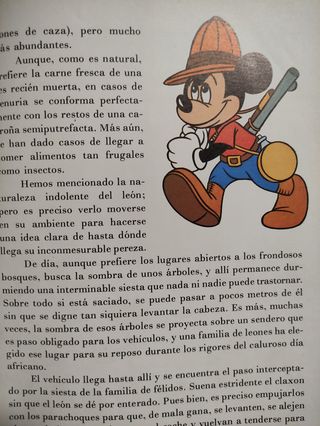 Disney Tu amigo el león 