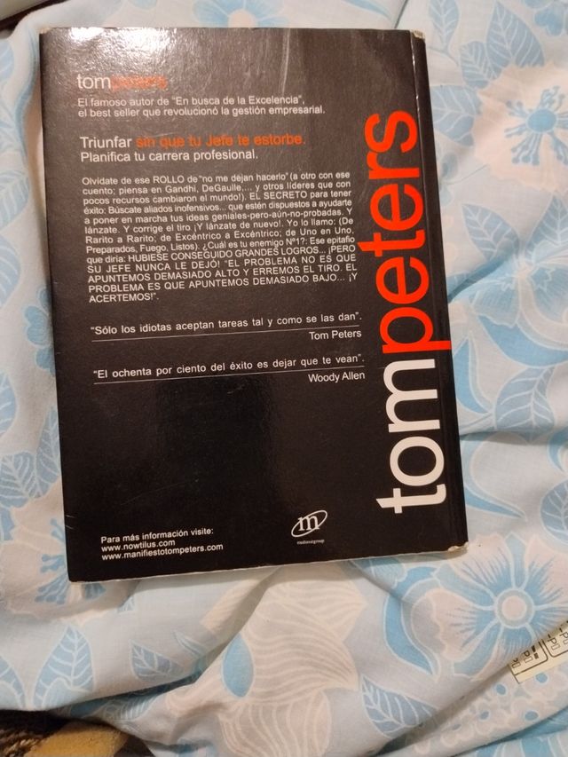 Triunfar sin que tu jefe estorbe