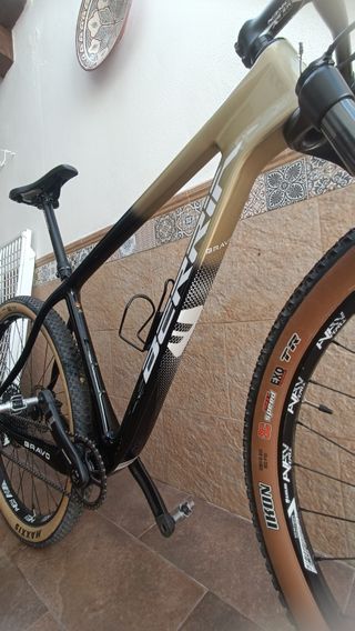 Berria Bravo 5 2021 oro-negro