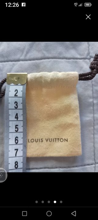 Louis Vuitton dustbag.