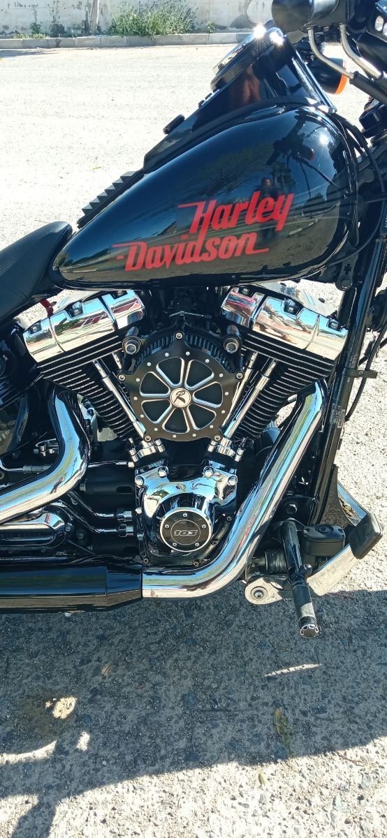 Harley Davison breakout