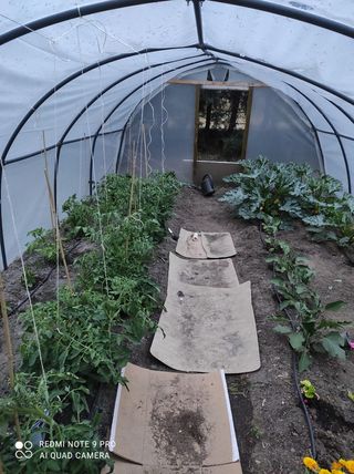 Ô Retrato huerto urbano.