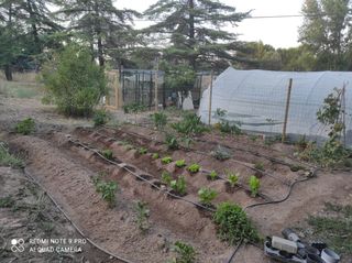 Ô Retrato huerto urbano.