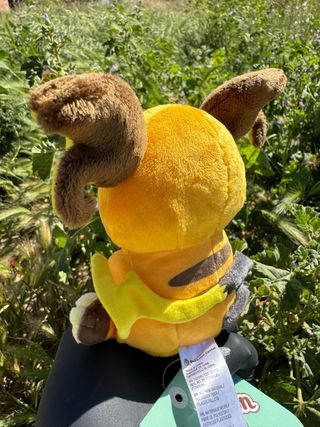 Peluche Pokémon Fit Raichu Pokémon Center