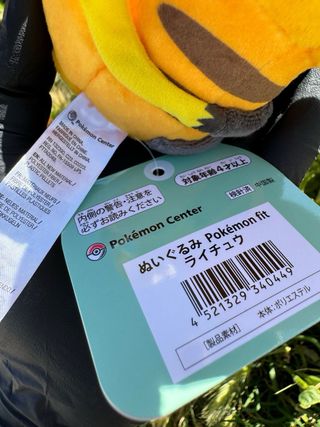 Peluche Pokémon Fit Raichu Pokémon Center