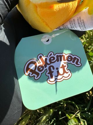 Peluche Pokémon Fit Raichu Pokémon Center