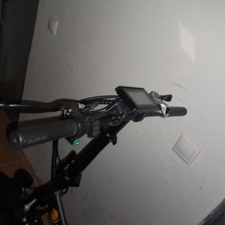 Bicicleta eléctrica