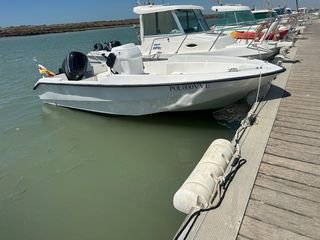 open 5.50 metros motor mercury efi 115 (150h+-)