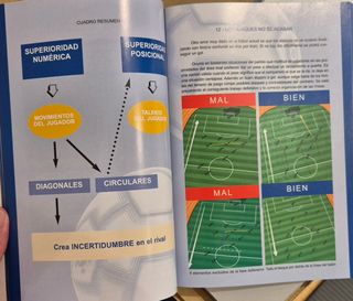 Fundamentos tácticos individuales y colectivos.