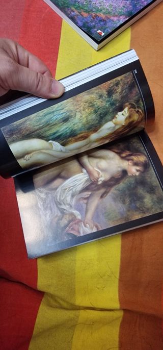 Libri tascabili Monet e Renoir