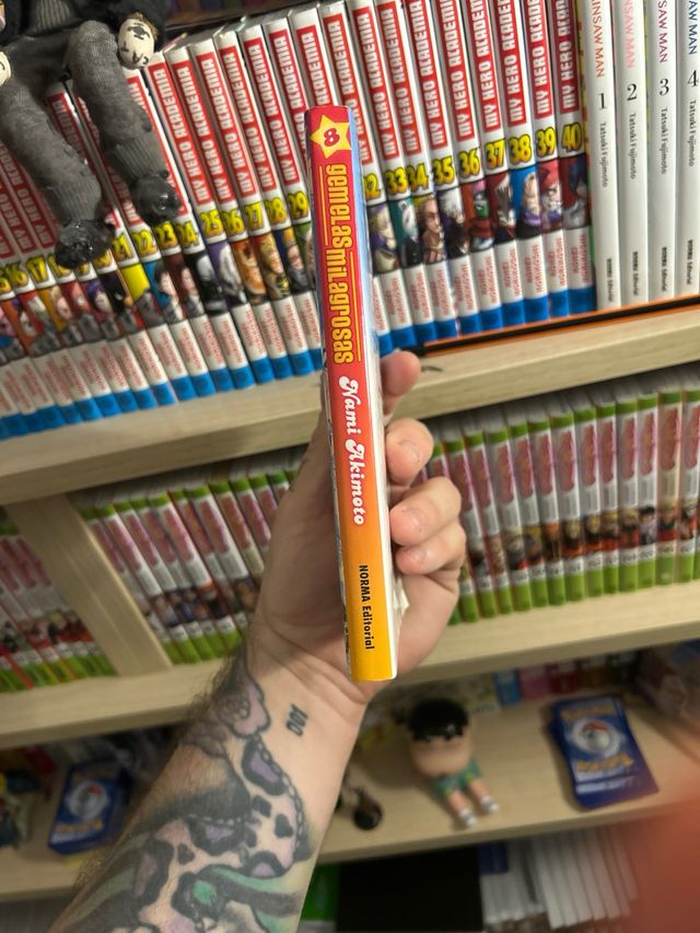 Manga Gemelas milagrosas