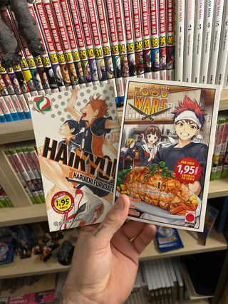 Mangas variados