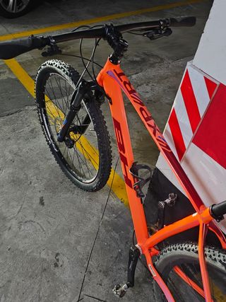 Bicicleta BH EXPERT talla L