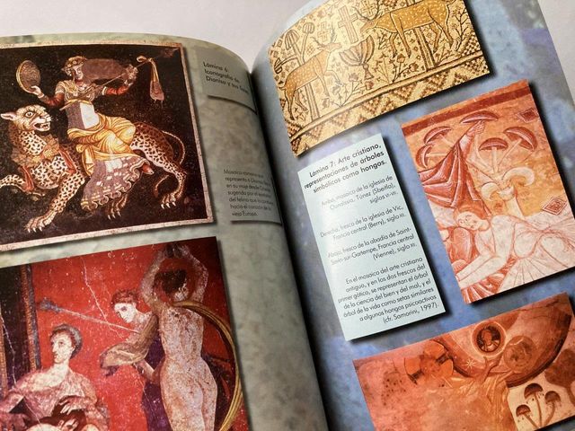 H.general de las drogas