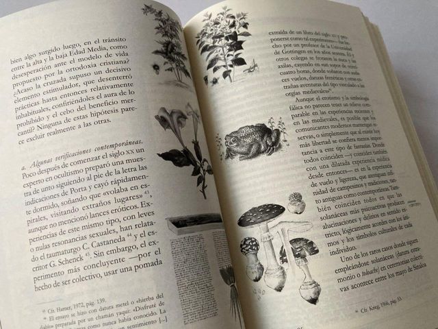 H.general de las drogas