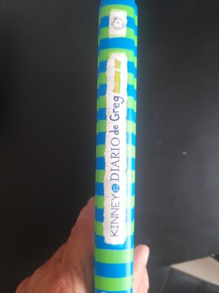 Diario de Greg 12. Volando voy