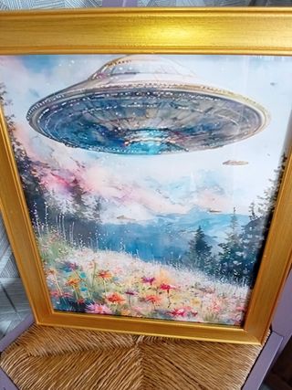 UFO Quadro sul campo