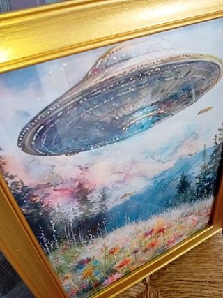 UFO Quadro sul campo