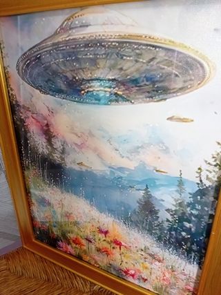 UFO Quadro sul campo
