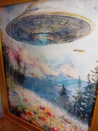 UFO Quadro sul campo