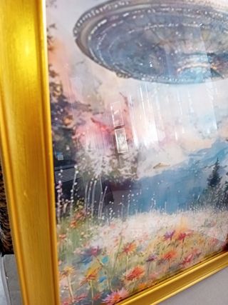 UFO Quadro sul campo