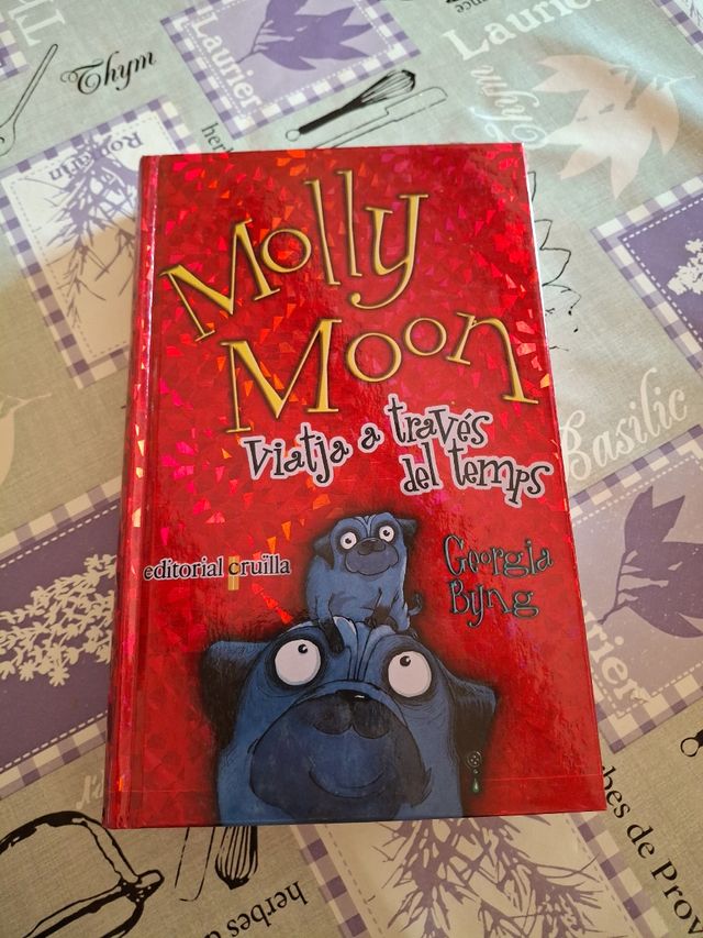 Molly Moon viatja a través del temps (Catalan E...