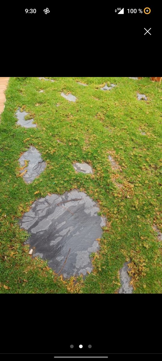 Planchón de pizarra 