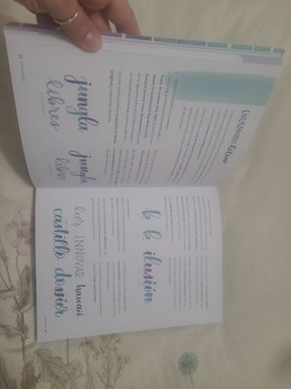 LetreArte: Descubre el arte de dibujar letras bonitas con este cuaderno de lettering para adultos. Una guía con instrucciones, consejos, técnicas y espacio para practicar tus propias caligrafías.