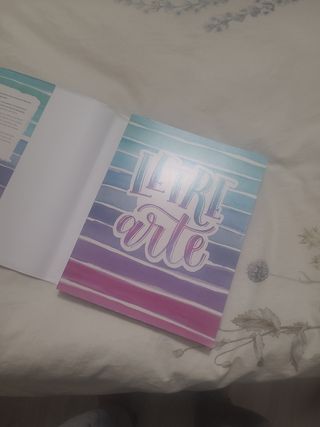 LetreArte: Descubre el arte de dibujar letras bonitas con este cuaderno de lettering para adultos. Una guía con instrucciones, consejos, técnicas y espacio para practicar tus propias caligrafías.