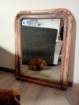 Specchio Shabby chic decorato con motivo floreale