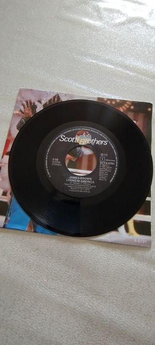 James Brown living in america