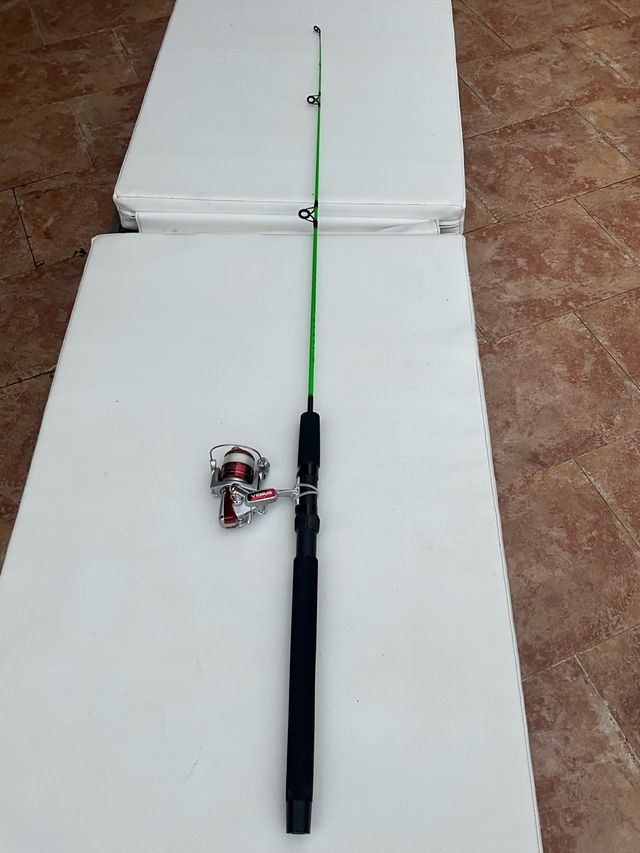 CAÑA DE PESCAR COMPLETA