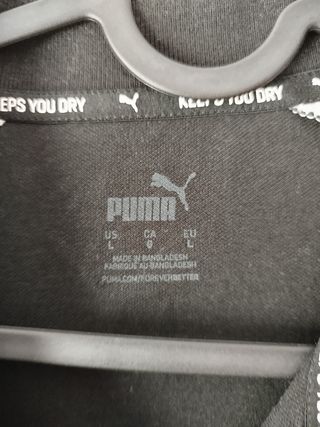 Polo Puma