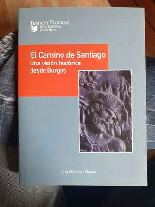 EL CAMINO DE SANTIAGO. UNA VISION HISTORICA DESDE BURGOS.