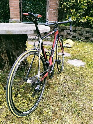 Rodman RDi 201 full carbon