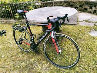 Rodman RDi 201 full carbon
