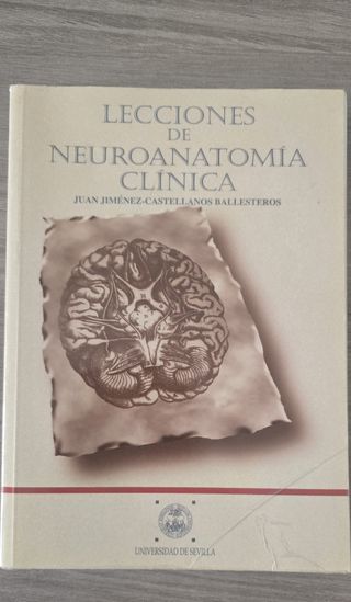 Lecciones de neuroanatomía clínica