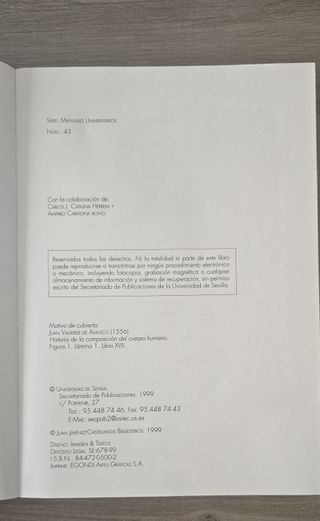 Lecciones de neuroanatomía clínica