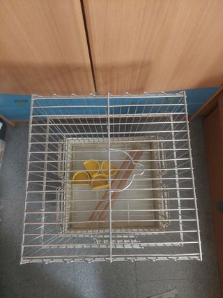 Jaula para loros