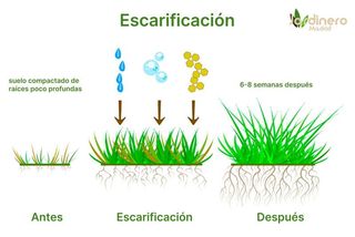 ALQUILER Escarificador - aireador